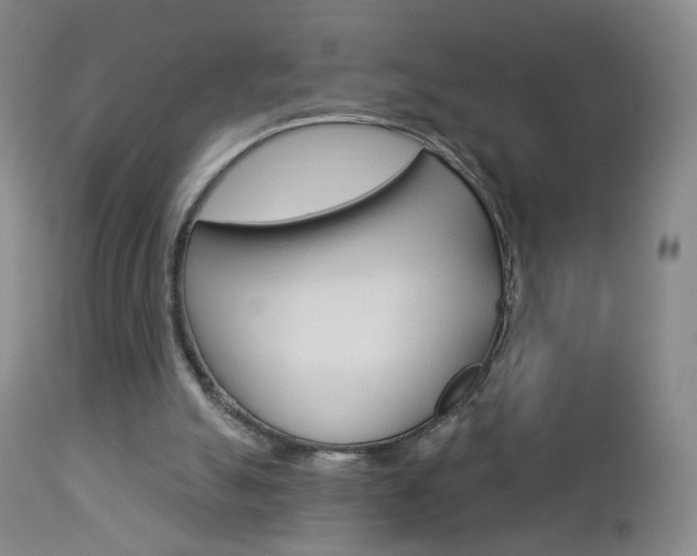 X0000112860055200908211105