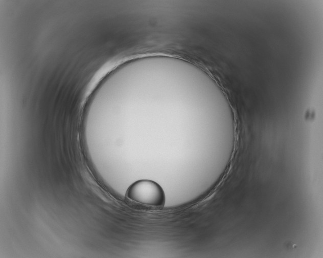 X0000112860056200908211105
