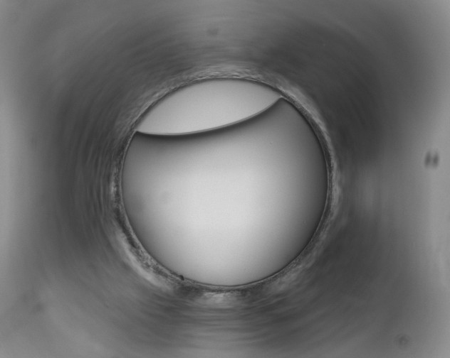 X0000112860057200908211105