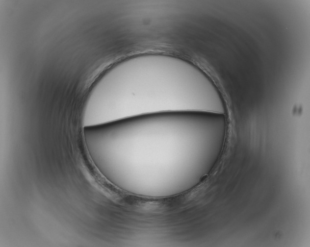 X0000112860058200908211105