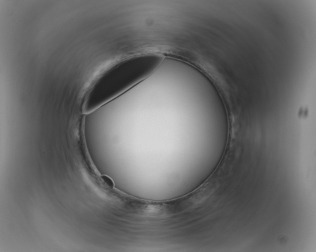 X0000112860060200908211105