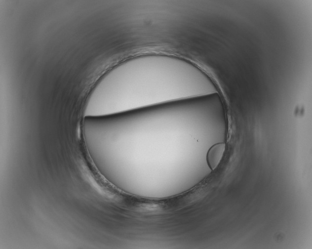 X0000112860061200908211105