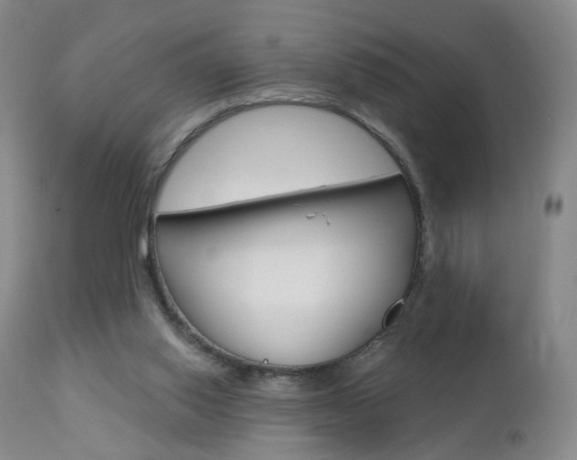 X0000112860062200908211105