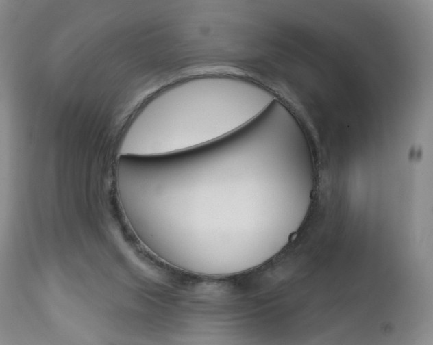X0000112860063200908211105