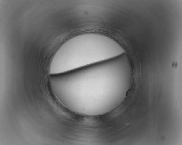 X0000112860070200908211105