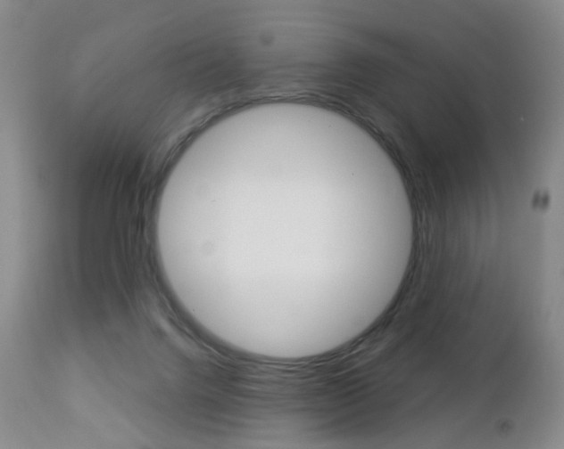 X0000112860072200908211105