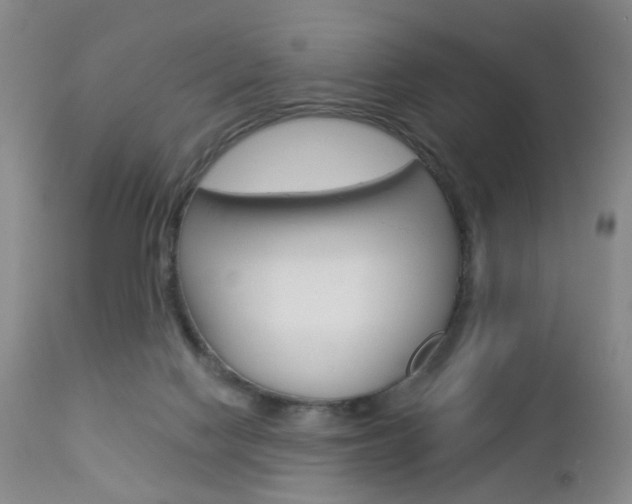 X0000112860074200908211105