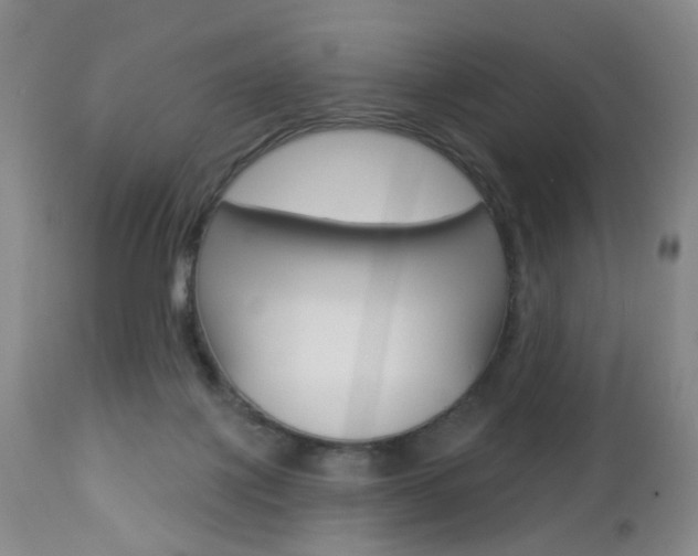 X0000112860075200908211105