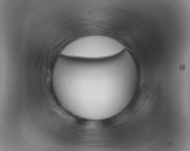 X0000112860077200908211105