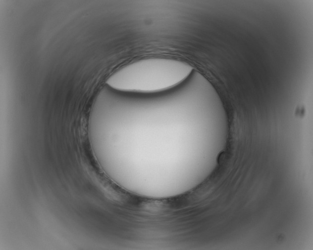 X0000112860079200908211105