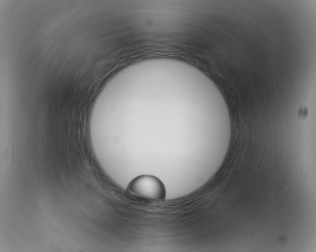 X0000112860080200908211105