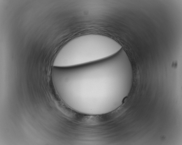X0000112860082200908211105