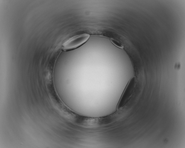 X0000112860084200908211105