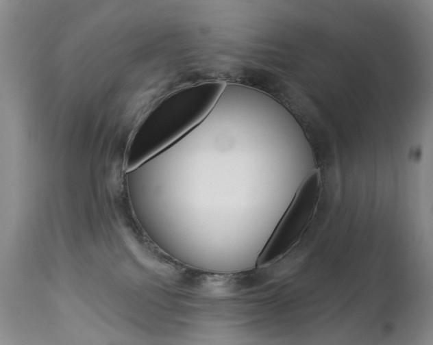 X0000112860088200908211105