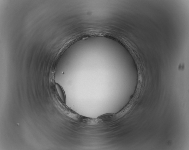 X0000112860096200908211105