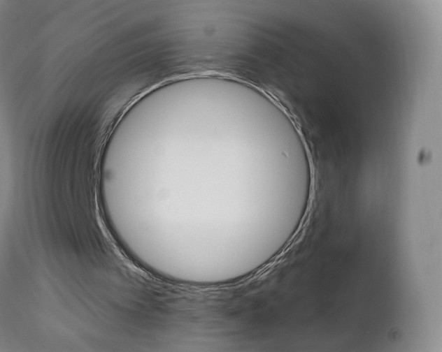 X0000112860097200908211105