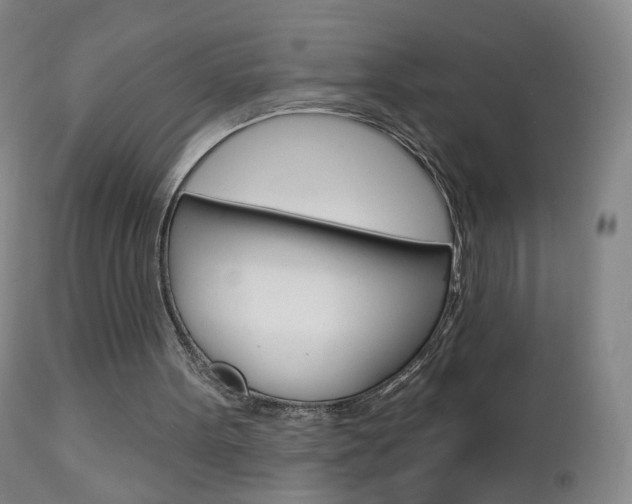 X0000112860099200908211105