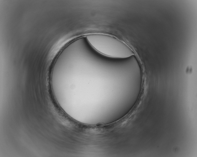 X0000112860103200908211105