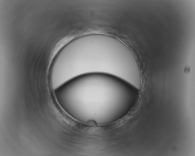 X0000112860104200908211105