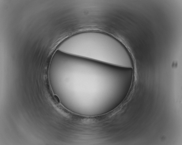 X0000112860105200908211105