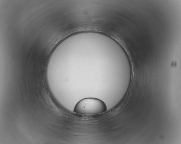 X0000112860109200908211104