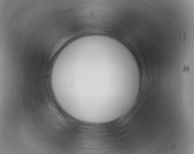 X0000112860116200908211104