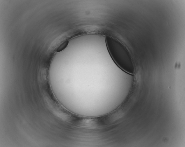 X0000112860117200908211104