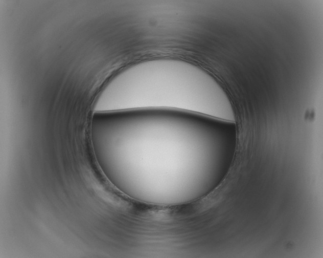 X0000112860120200908211104