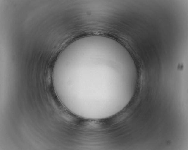 X0000112860121200908211104