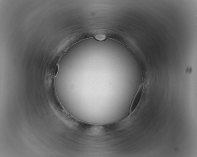 X0000112860124200908211104