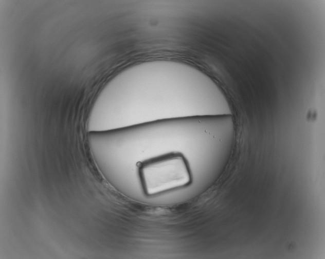 X0000112860125200908211104