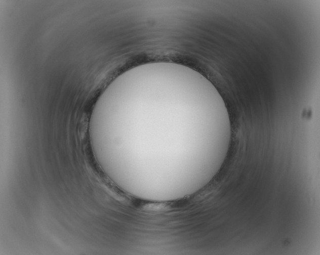 X0000112860133200908211104