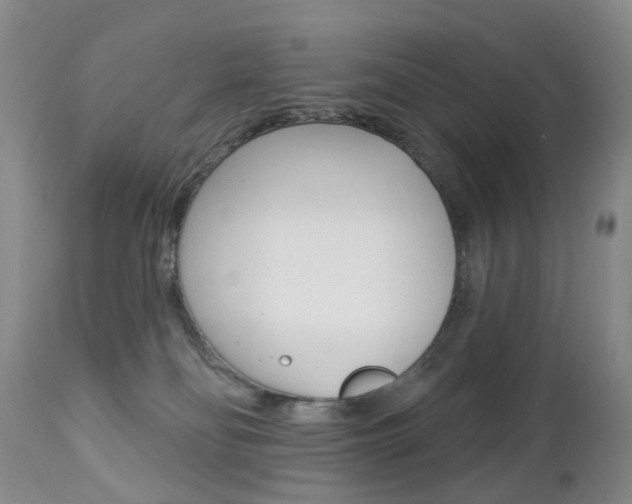 X0000112860134200908211104
