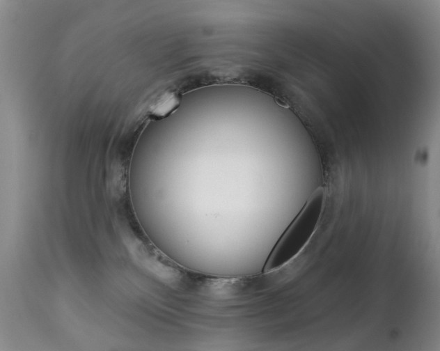X0000112860136200908211104