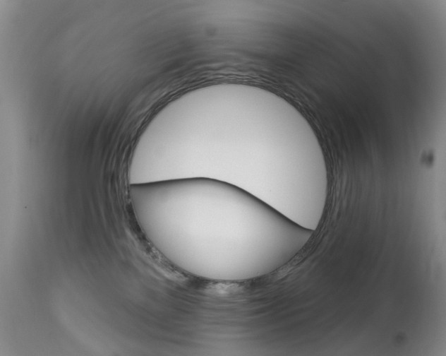 X0000112860137200908211104
