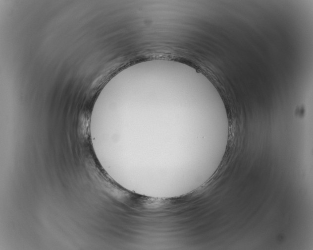 X0000112860142200908211104