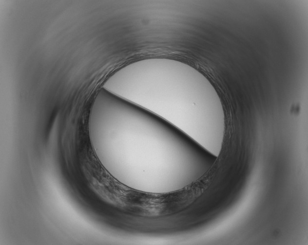 X0000112860143200908211104