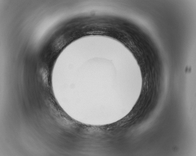 X0000112860146200908211103