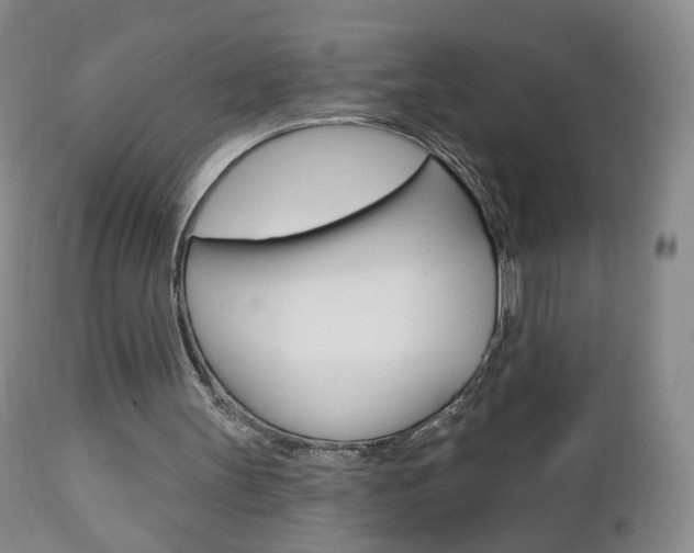 X0000112860147200908211103