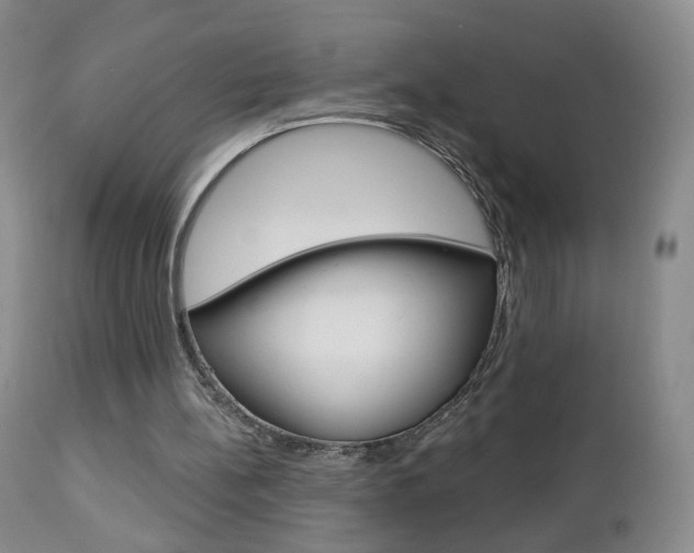 X0000112860148200908211103