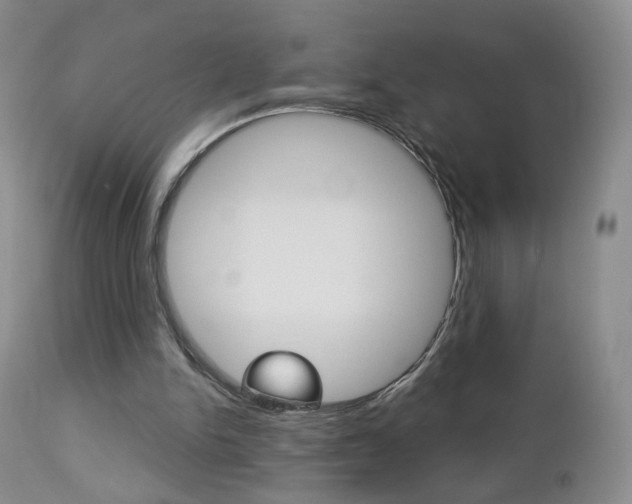 X0000112860150200908211103
