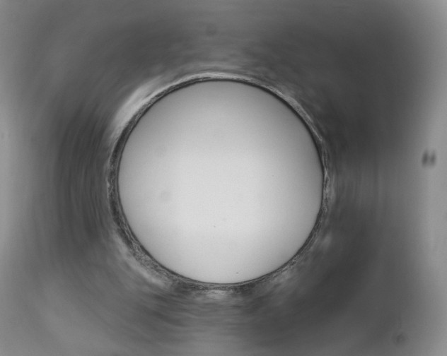 X0000112860151200908211103