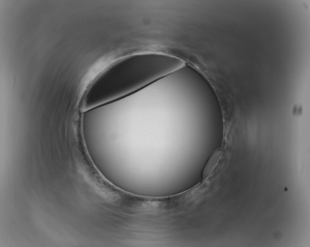 X0000112860152200908211103