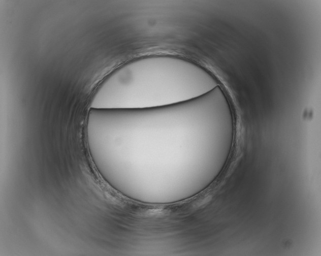 X0000112860153200908211103