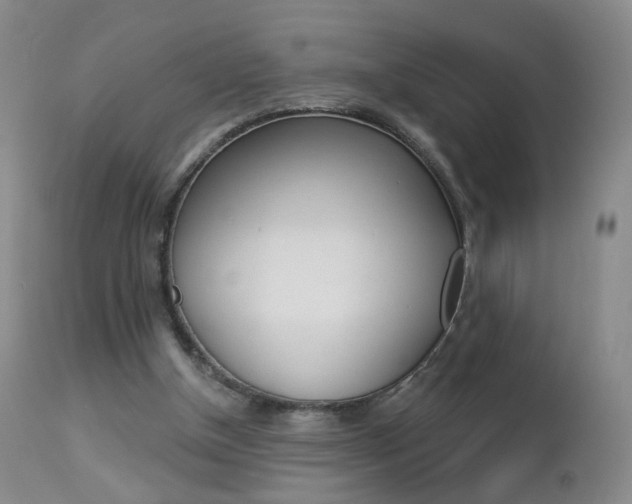 X0000112860154200908211103