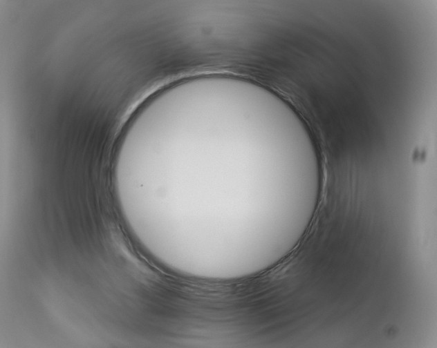 X0000112860156200908211103