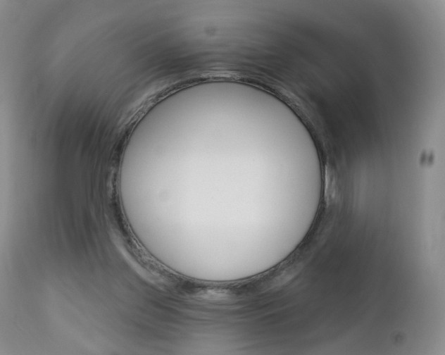 X0000112860157200908211103