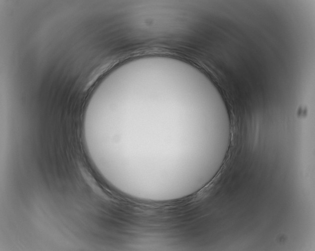 X0000112860158200908211103