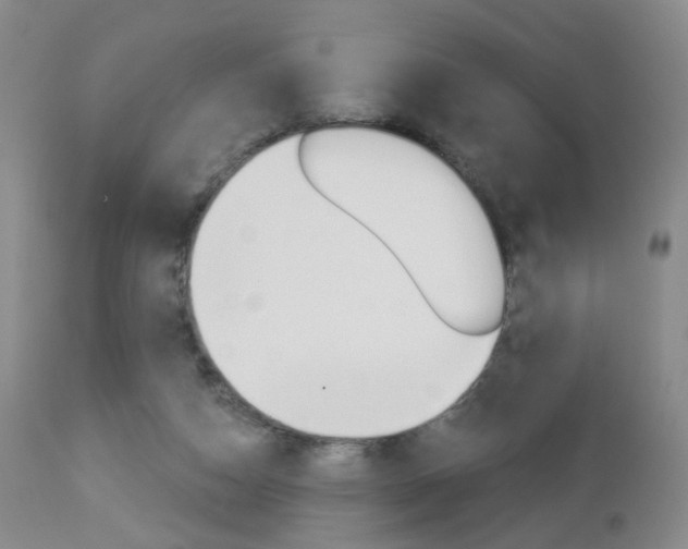 X0000112860162200908211104