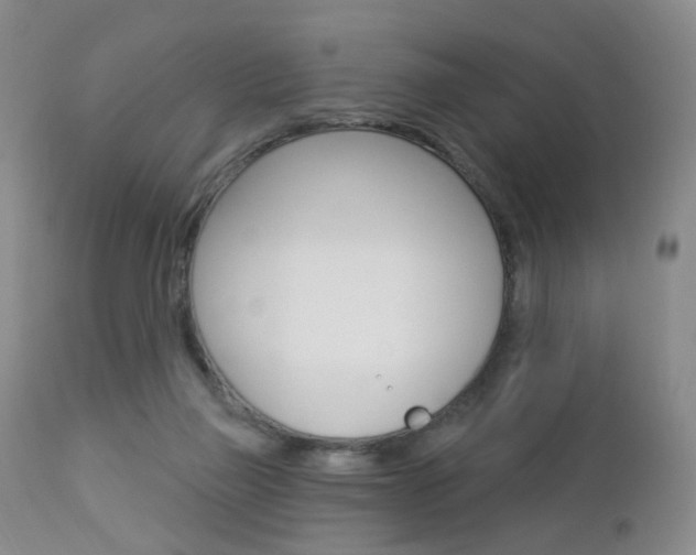 X0000112860165200908211104